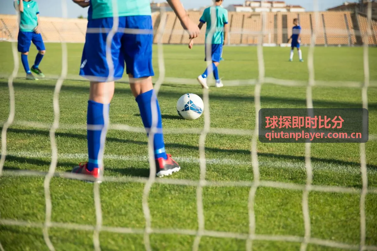 球探即时比分巴西国家队